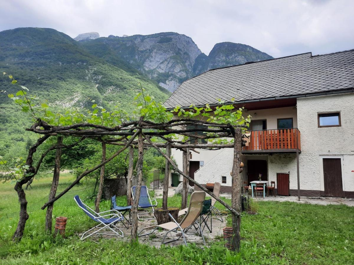 Stara Hisa Apartment Log Cezsoski ภายนอก รูปภาพ